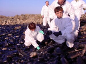 Records d’un viatge de solidaritat a Galícia després del Prestige